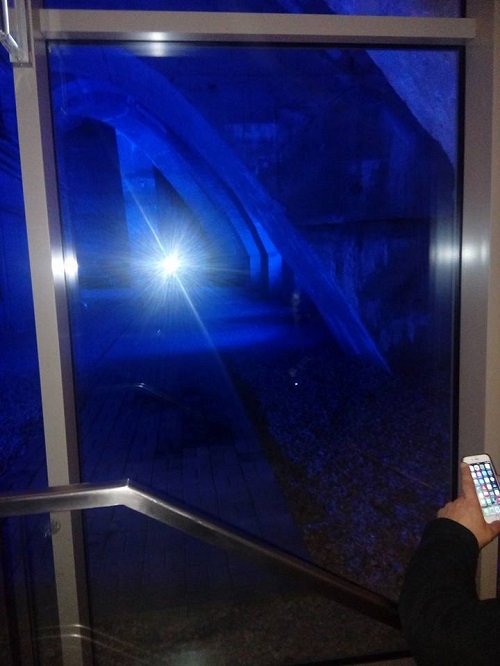 Völki 2.jpg