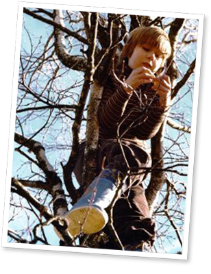 junge-baum.png